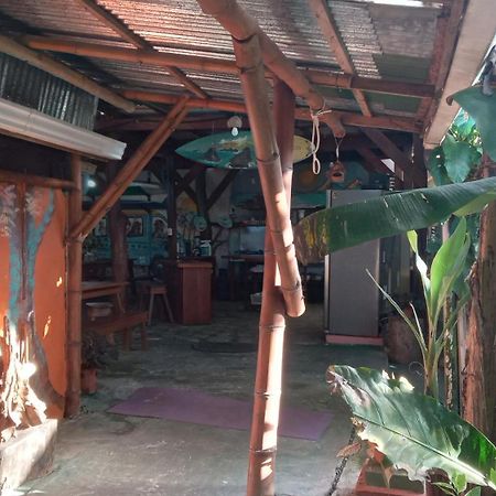 Osa Surf House Hotel Puerto Jiménez Kültér fotó