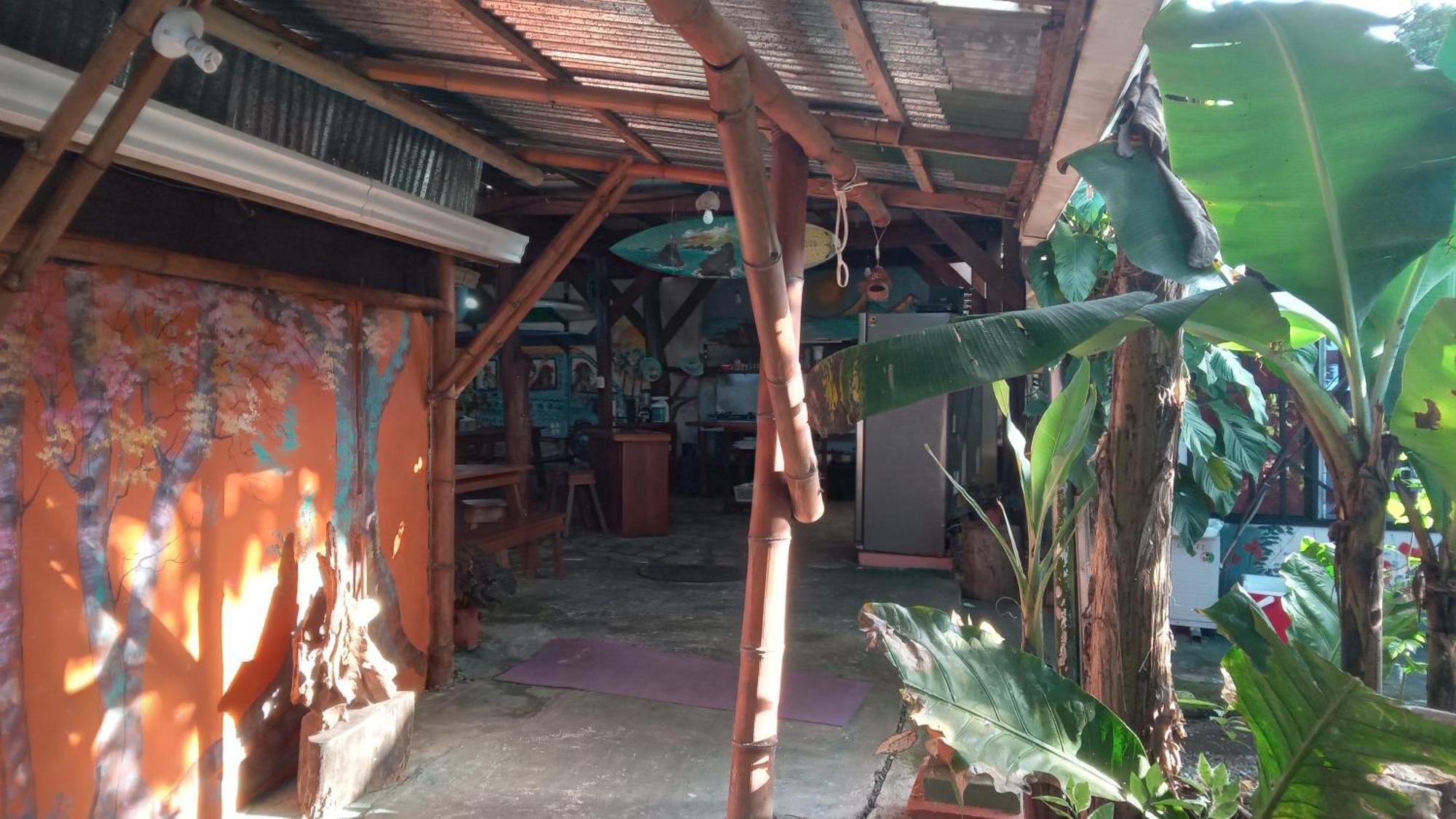 Osa Surf House Hotel Puerto Jiménez Kültér fotó